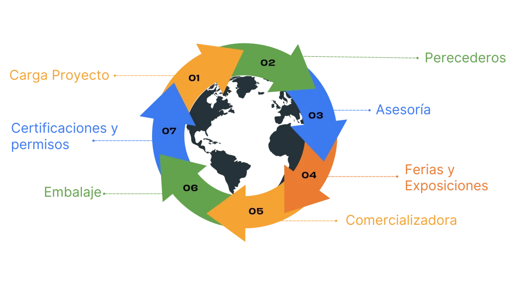 servicios-especiales-canalliance-logistica-y-comercio-exterior